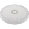 Светильник REXANT настенно-потолочный Ariel LED 48 Вт 2700-6500 650-1008
